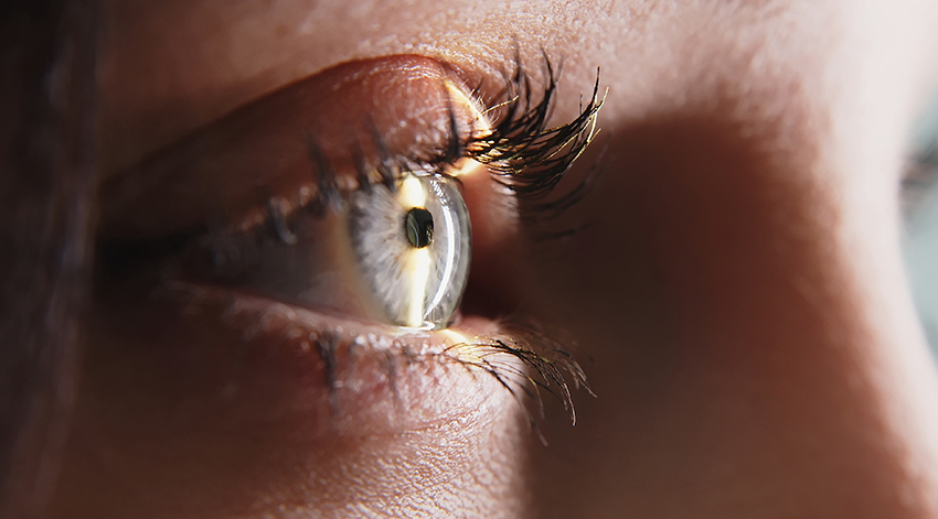 Photo Refractive Keratectomy